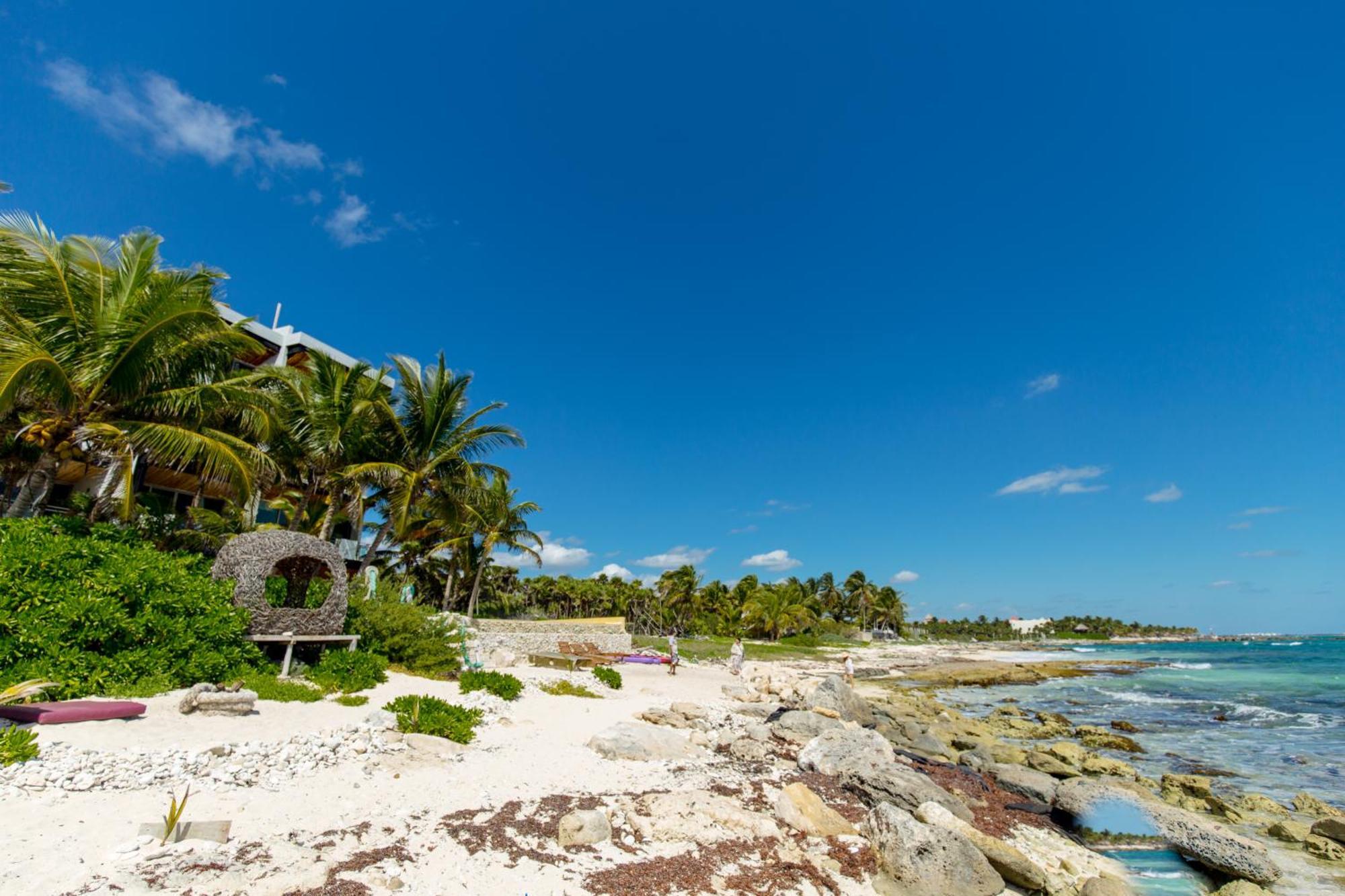 Angelina 28 Beachfront And Family Apartments - Modern And Relaxing Long Stays - 20 Min From Cancun Airport Puerto Morelos Dış mekan fotoğraf